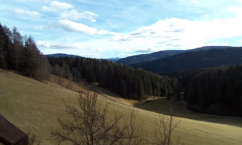 Ferienwohnungen Bachergut Mariapfarr Exteriör bild